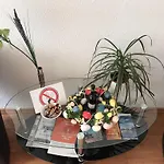 Apartment Flehe