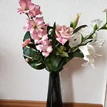 Apartment Flehe