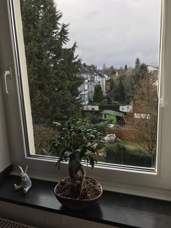 Flehe